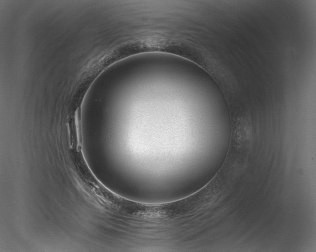 X0000078280639200611031209