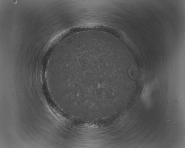 X0000078280640200611031209