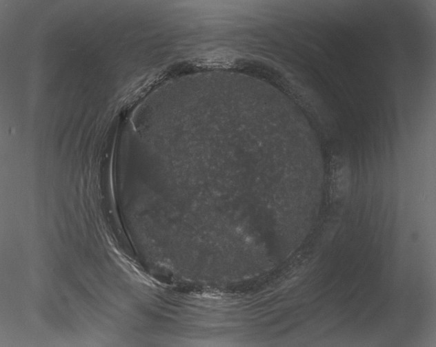 X0000078280641200611031209