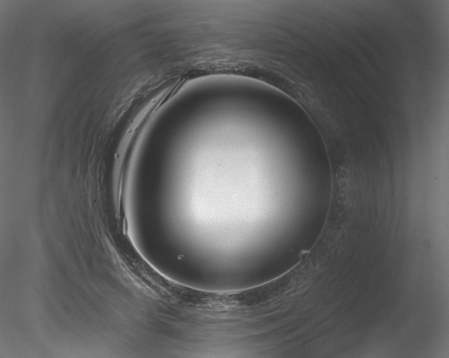 X0000078280642200611031209