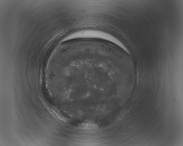 X0000078280644200611031209