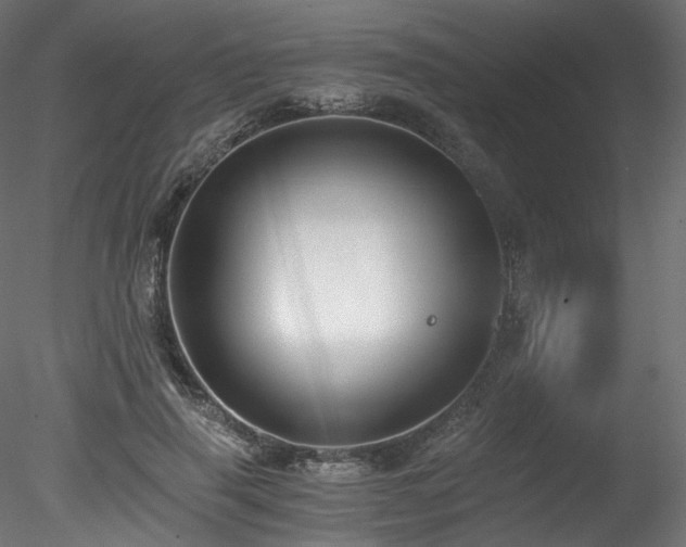 X0000078280645200611031209