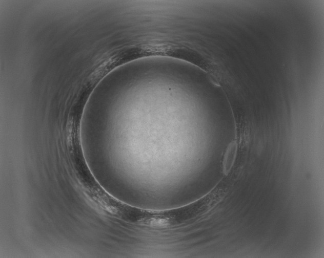 X0000078280647200611031209