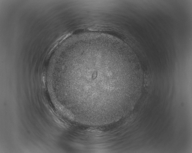 X0000078280648200611031209