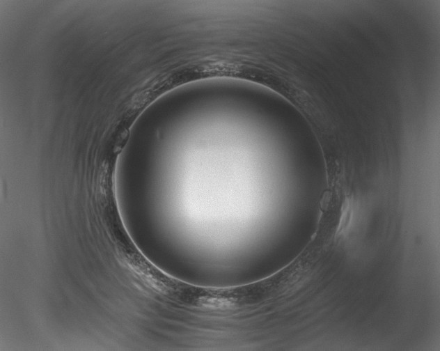 X0000078280649200611031209