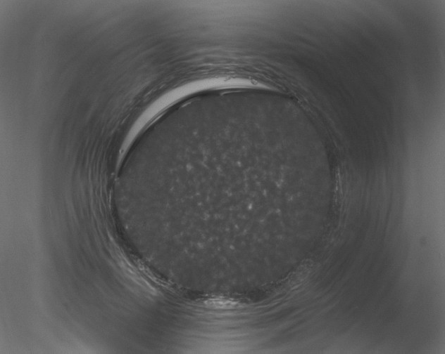 X0000078280650200611031209