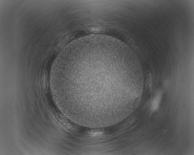 X0000078280651200611031209