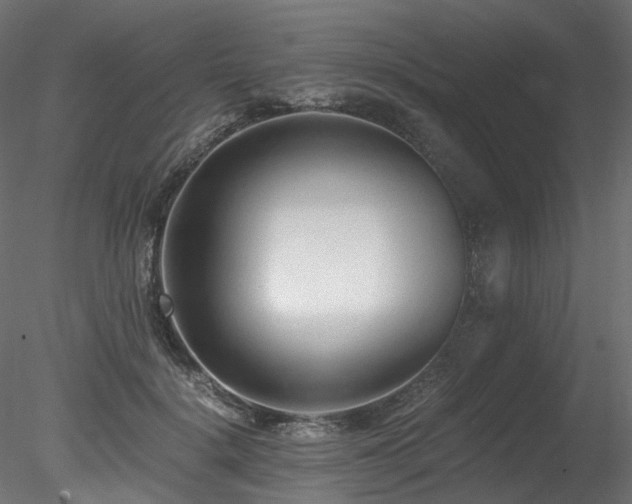 X0000078280652200611031209