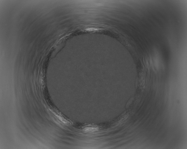 X0000078280653200611031209