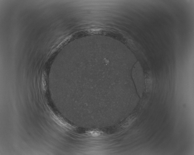 X0000078280654200611031209