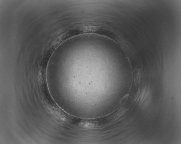 X0000078280655200611031209