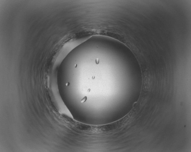 X0000078280656200611031210