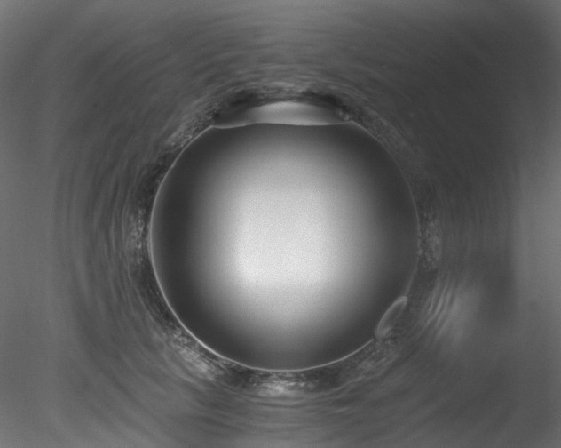 X0000078280657200611031210