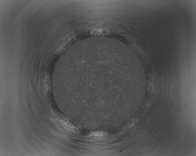 X0000078280659200611031210