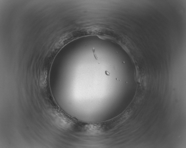 X0000078280660200611031210