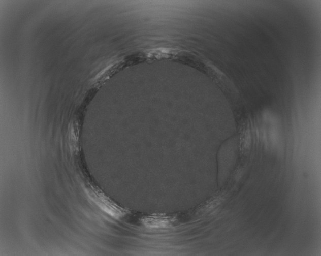 X0000078280661200611031210