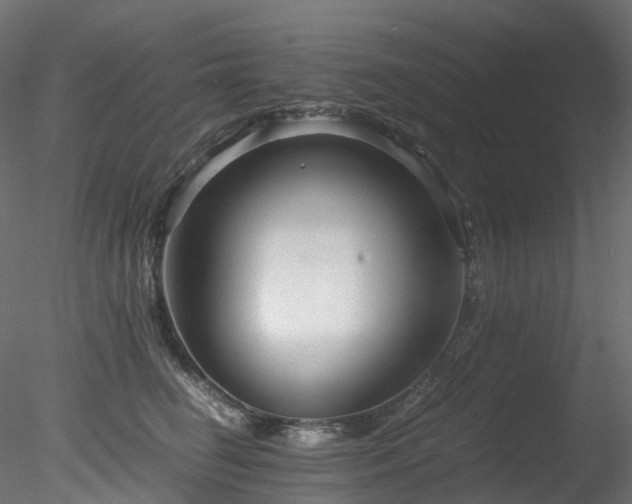 X0000078280662200611031210