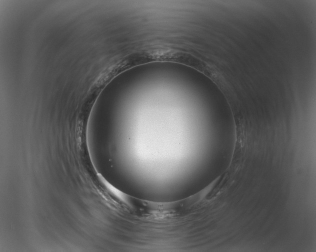 X0000078280664200611031210