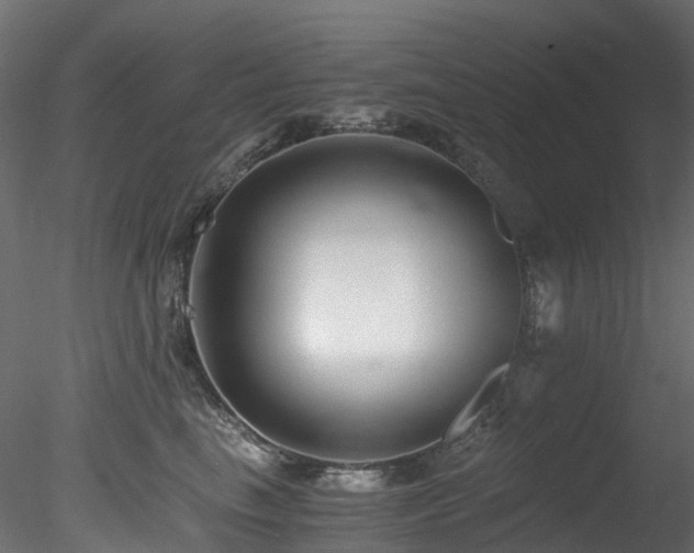 X0000078280665200611031210