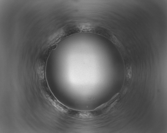 X0000078280666200611031210