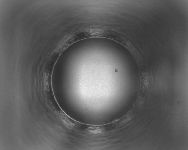 X0000078280667200611031210