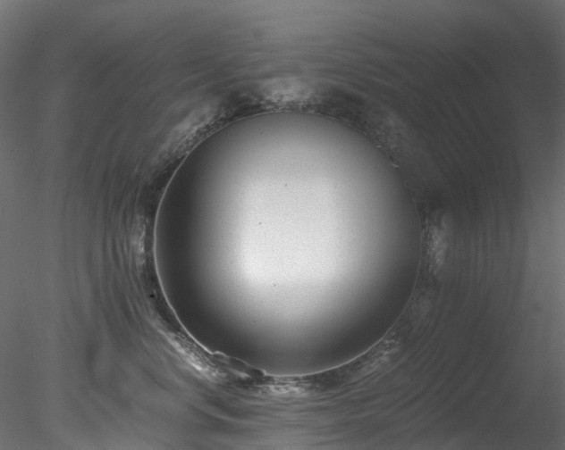 X0000078280668200611031210