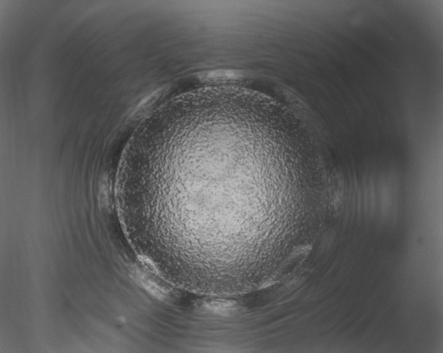 X0000078280669200611031210