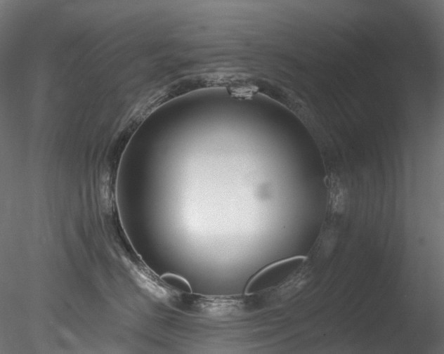 X0000078280670200611031210