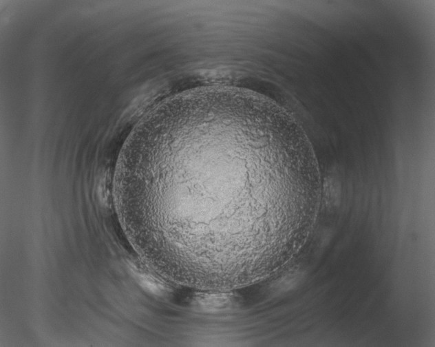 X0000078280671200611031210