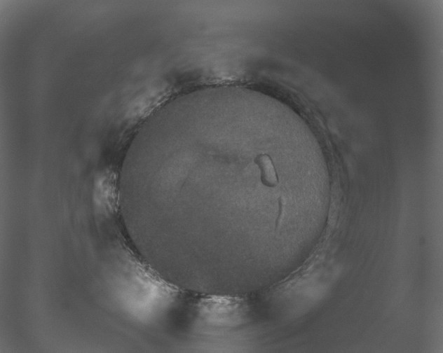 X0000078280672200611031210