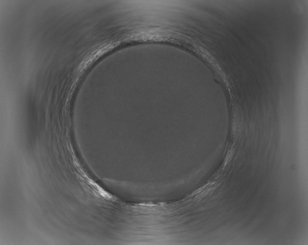 X0000078280673200611031209