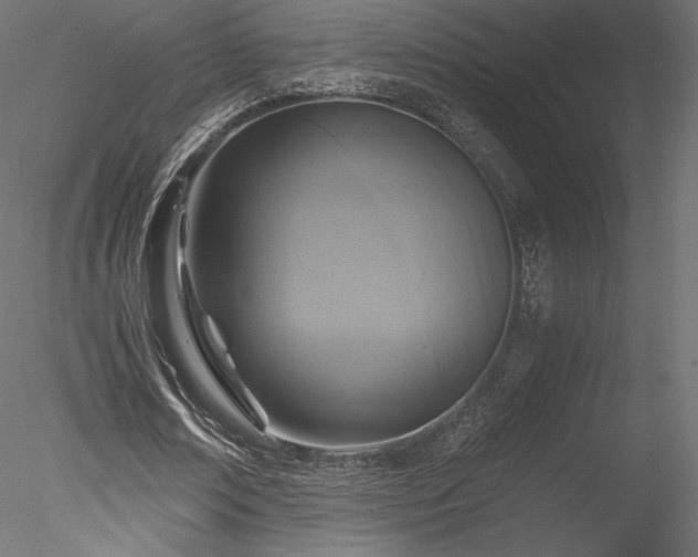 X0000078280674200611031209