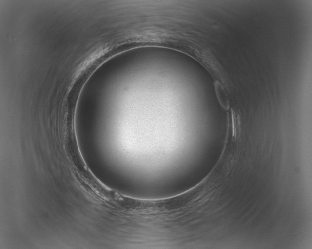 X0000078280675200611031209