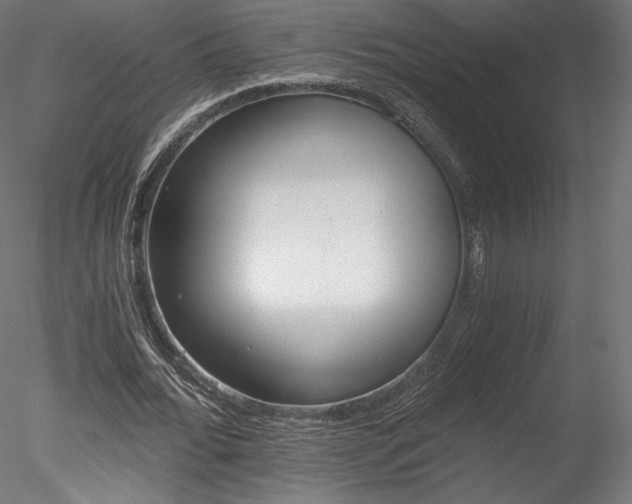 X0000078280676200611031209