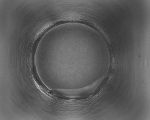 X0000078280677200611031209