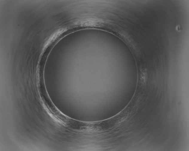 X0000078280678200611031209