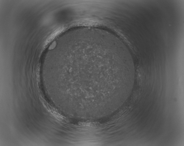 X0000078280679200611031209