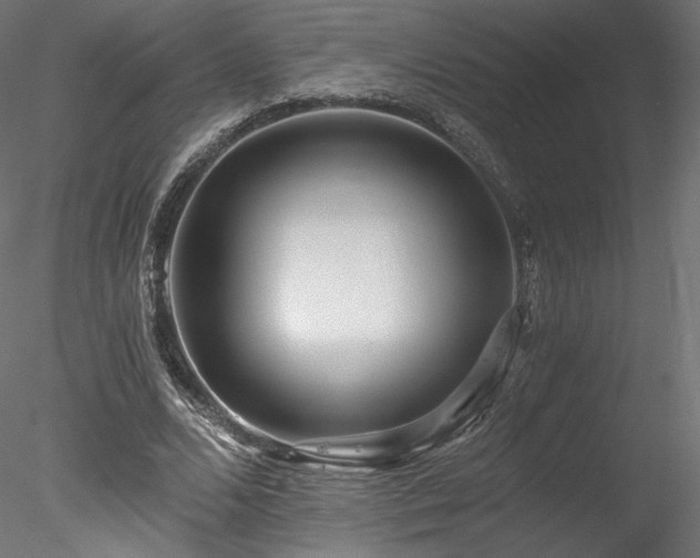 X0000078280680200611031209