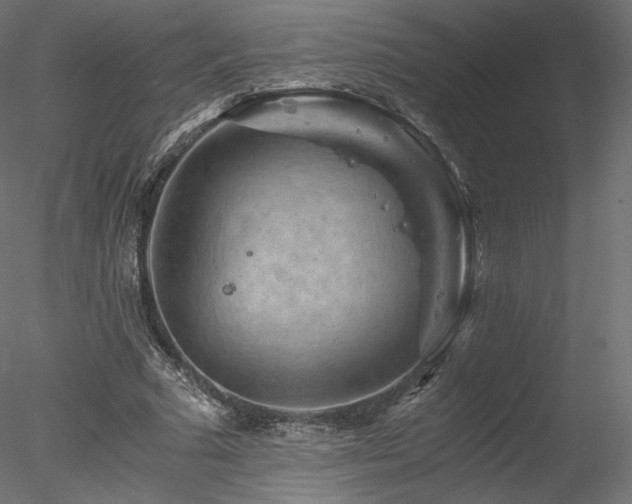 X0000078280681200611031209