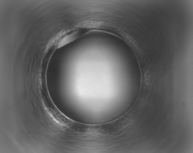 X0000078280682200611031209