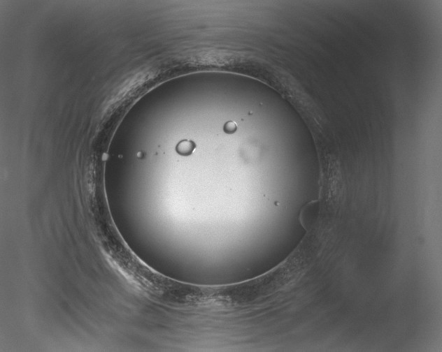 X0000078280683200611031209