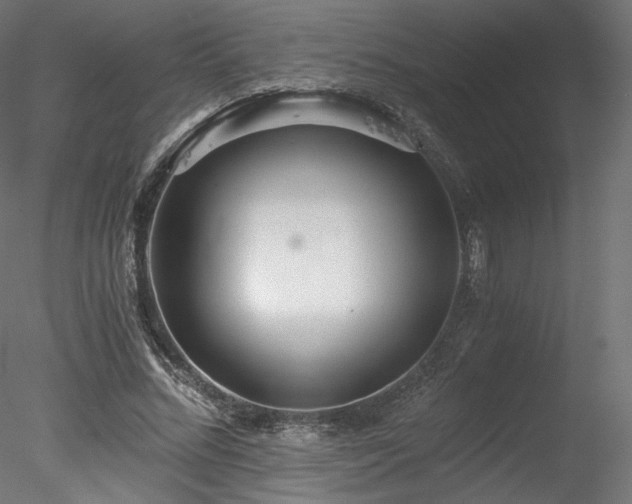 X0000078280684200611031209