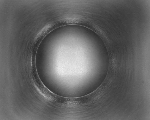 X0000078280686200611031209