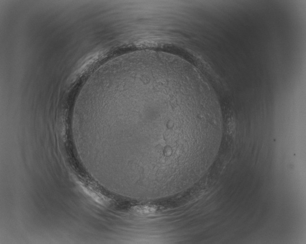 X0000078280687200611031209