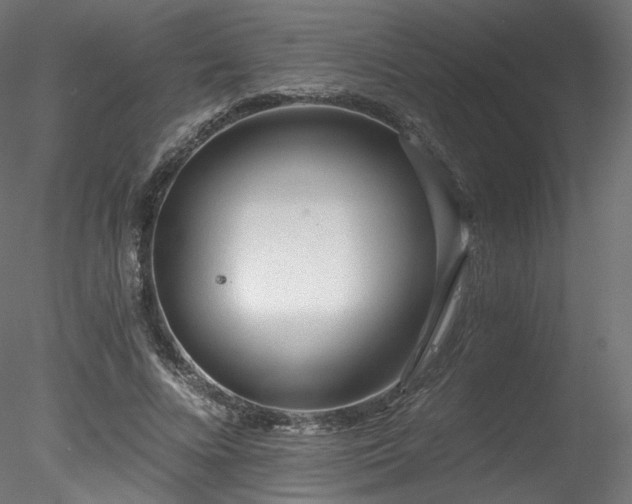 X0000078280688200611031209