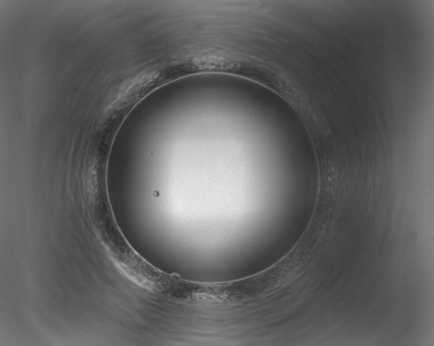 X0000078280690200611031209