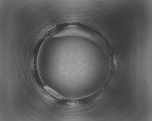 X0000078280693200611031209