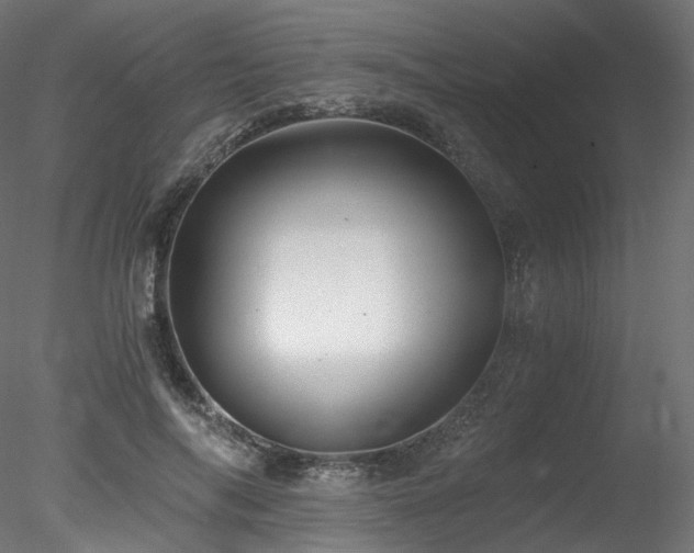 X0000078280694200611031209