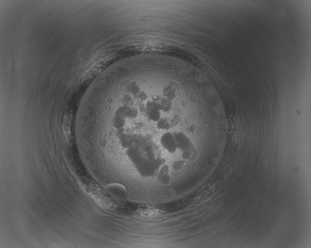 X0000078280695200611031209