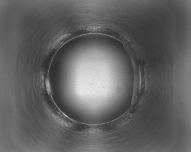 X0000078280696200611031209